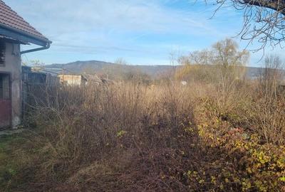 Casa de vanzare central  in Fagaras - 24