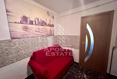 Apartament cu 2 camere decomandat, mobilat în Lipovei - 3