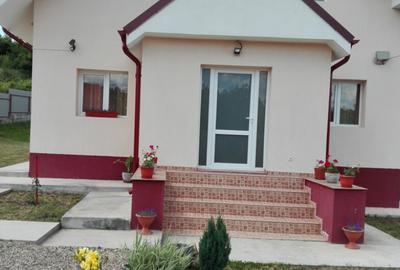 Casa tip vila in comuna poduri, jude?ul bacau - 5