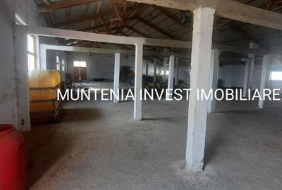 Casă cu 4 camere în Băjești - 6