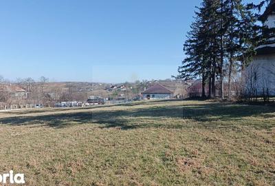 Teren de 4700 mp, în Brusturi - 5