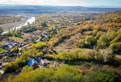 Teren intravilan 15267m2 Teren intravilan 15267m2 - 5