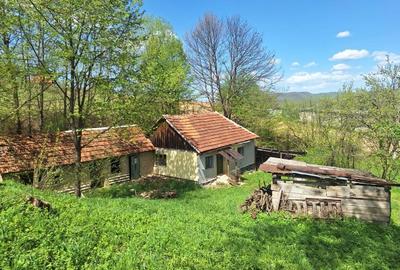 Casă cu 2 camere cu Teren 5000 Mp în Cornițel - 7