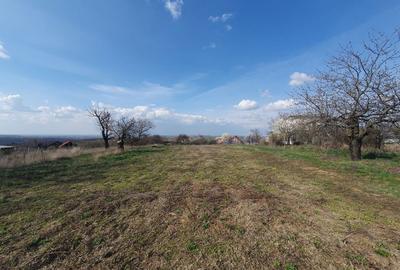 Teren de 1000 mp, în Săldăbagiu de Munte - 1