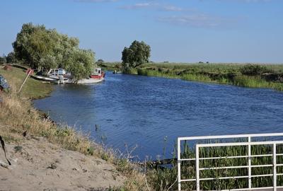 Teren intravilan in Delta Dunarii, C.A. Rosetti - Cardon - 1