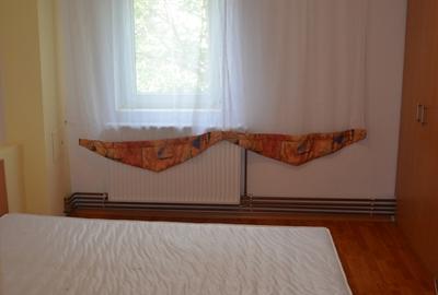 Aradului 3 camere 350 euro - 11