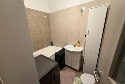 Apartament cu 3 camere decomandat, mobilat în Gorjului - 13