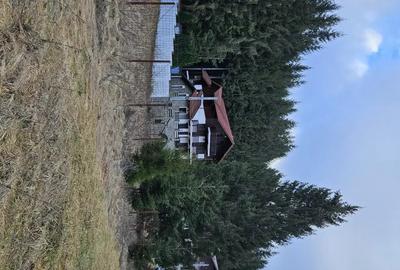Teren de 269 mp, în Cumpătu - 5