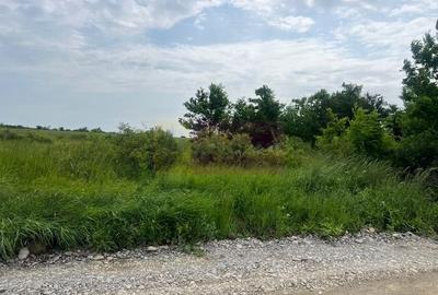 Teren Saftica- strada Albinelor - 2