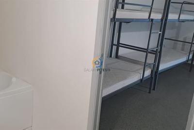 Vila Spatioasa cu 5 camere langa Pitesti - Ideala pentru Gradinita sau Cazare Ec - 6