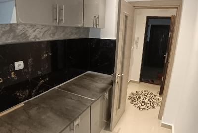 Apartament cu 2 camere decomandat, mobilat în Viziru 3 - 4