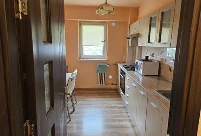 Apartament cu 2 camere decomandat în Lăpuș - 4