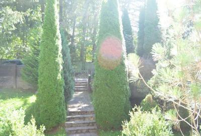 Casă cu 4 camere cu Teren 462 Mp în Cioplea - 9