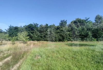 Teren de 700 mp, în Central - 3