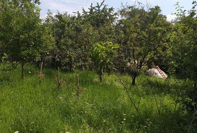 Casă cu 2 camere cu Teren 480 Mp în Turda - 2