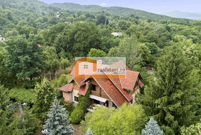 Pet Friendly, Vedere Padure, 5000mp teren, D+P+1E+M, semineu, foisor - 2