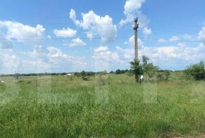 OPORTUNITATE INVESTI?IE! TEREN 6670 mp comasat, zona Carce - 3