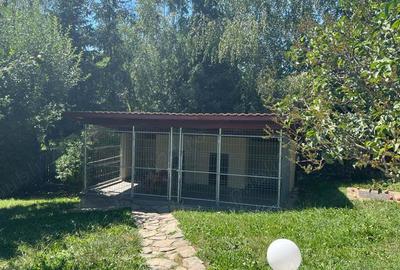 Casă cu 8 camere cu Teren 7000 Mp în Vâlcele - 6