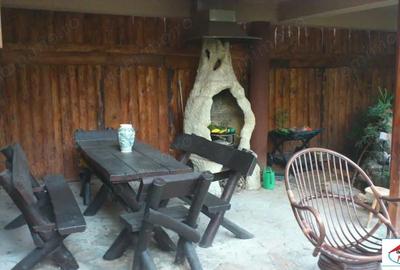 Casă cu 2 camere în Titulescu - 10