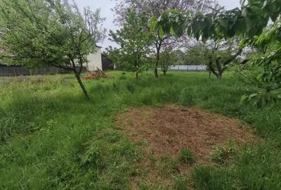 Casă cu 4 camere cu Teren 1767 Mp în Rădăuți