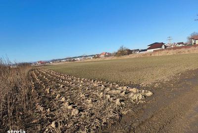 Teren de 2000 mp, în Central - 2