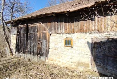 Teren de 2946 mp, în Tureni - 5