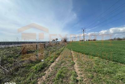 Spațiu comercial, în Valu lui Traian - 2