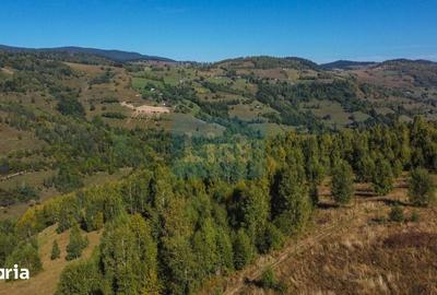 Teren de 1000 mp, în Băișoara - 8