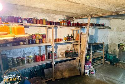 Casă individuală cu 12 camere cu Canalizare în Sud-Est - 41