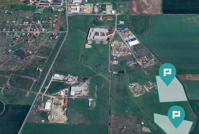 Teren intravilan de 26,606mp Sacalaz - 4