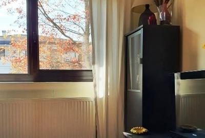 Vila Baneasa la liziera padurii, zona Liceul Francez, Sector 1, Bucuresti - 6