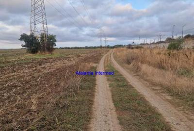 Teren constructie hale - 3