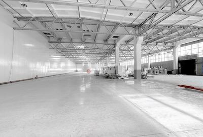 DEPOZITARE LOGISTIC OFFICE PRODUCTIE - 7