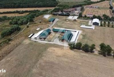 Spațiu comercial, în Crânguri - 2