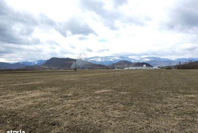 Spațiu comercial, în Turnu Roșu - 14