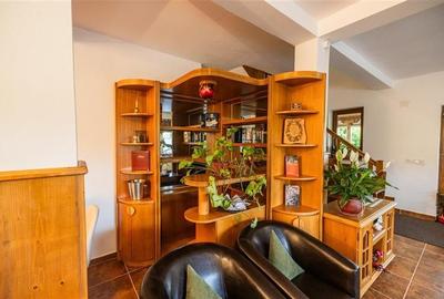 FILM! Pachet complet pt turism si/sau rezidenta, Tohanita, Zarnesti, Brasov - 32