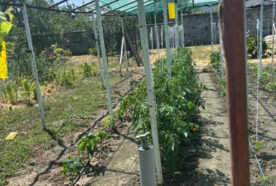 Vand casa in sag cu  gradina mare 275000 euro - 10