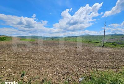Teren de 5800 mp, în Șintereag - 4