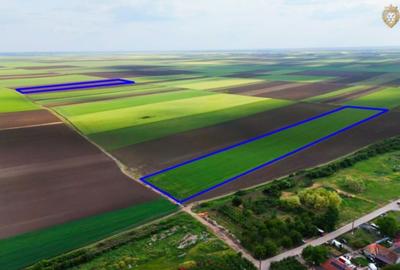Teren agricol extravilan de 68900 mp, în Munar - 1