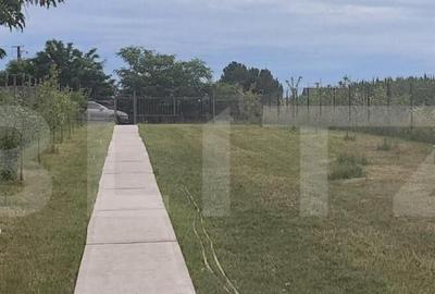 Casa individuala, 120 mp, 1900 mp teren, Udesti - 9