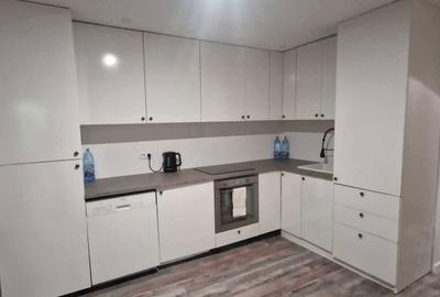 Apartament cu 2 camere nedecomandat în Șieu - 2