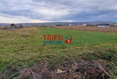 Teren 2160mp în  Partoș - 3