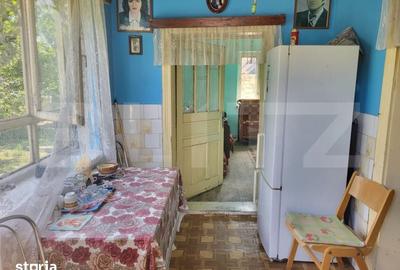 Casă cu 3 camere cu Teren 4200 Mp în Mihai Viteazu - 4