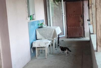 Casă cu 3 camere cu Teren 908 Mp în Parța