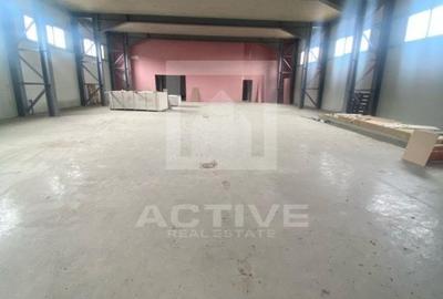 Hala cu curte proprie -zona napolact - 8
