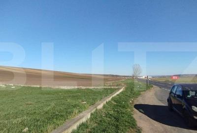 Teren de 3600 mp, în Lețcani - 3