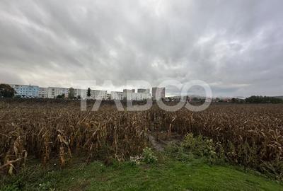 Teren intravilan de vanzare 8000 mp cu utilitati in apropiere - 2