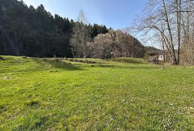 Teren de 6888 mp, în Putna - 4