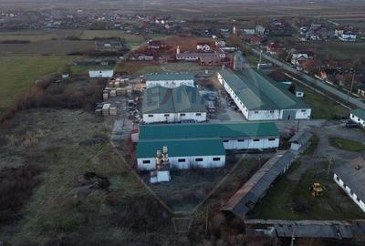 Hale de vanzare-ideale pentru depozit sau productie - 13