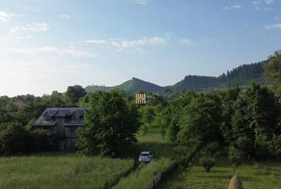 Teren 10304 mp cu casa locuibila! In Bucovina, Zona M... - 9